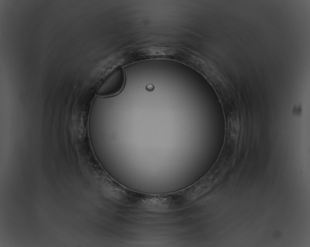 X0000091650422200708301422