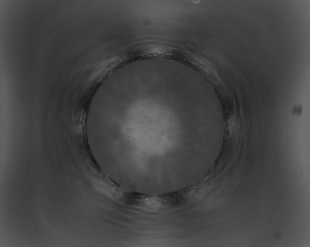 X0000091650423200708301422