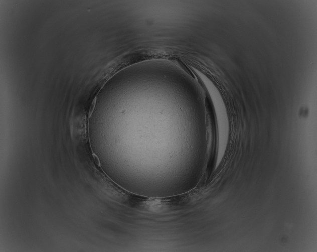 X0000091650425200708301422