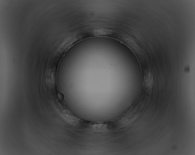 X0000091650426200708301422