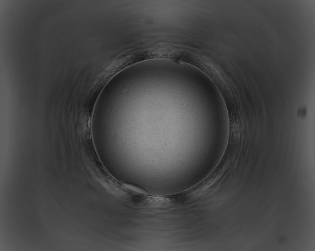 X0000091650429200708301422