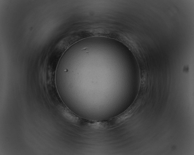 X0000091650430200708301422