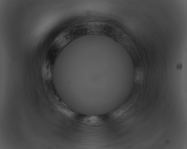 X0000091650431200708301422