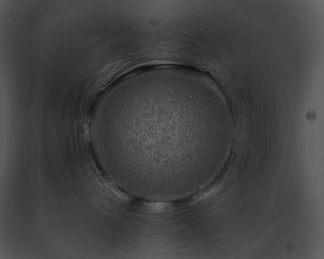 X0000091650432200708301422