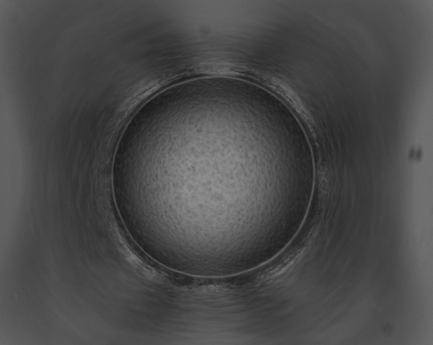 X0000091650433200708301421