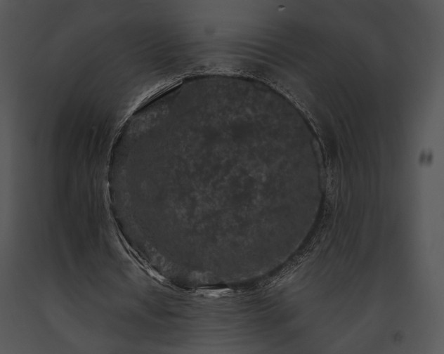 X0000091650434200708301421