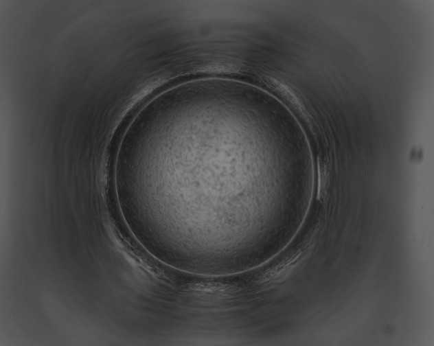 X0000091650435200708301421