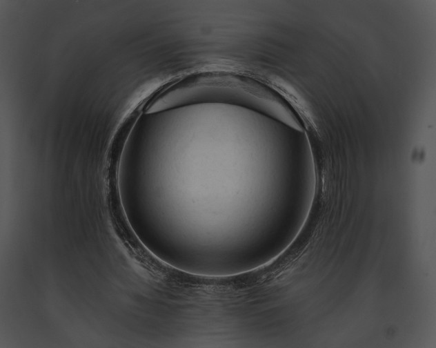 X0000091650436200708301421
