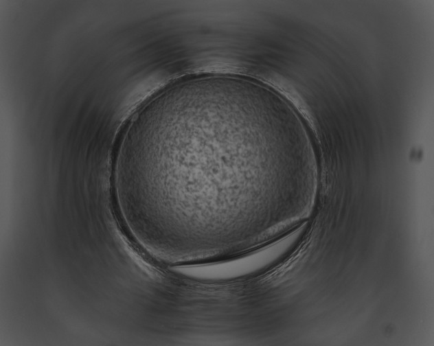 X0000091650437200708301421