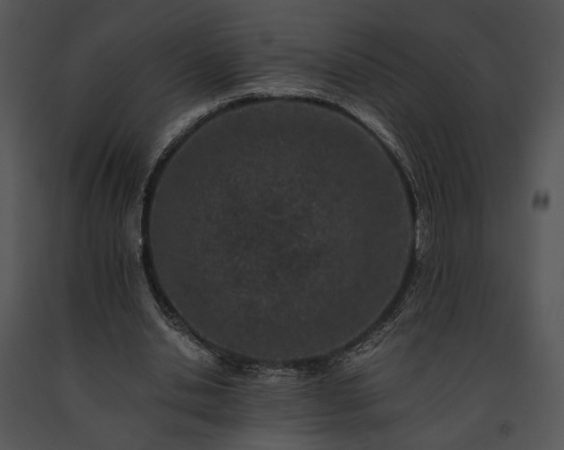 X0000091650438200708301421
