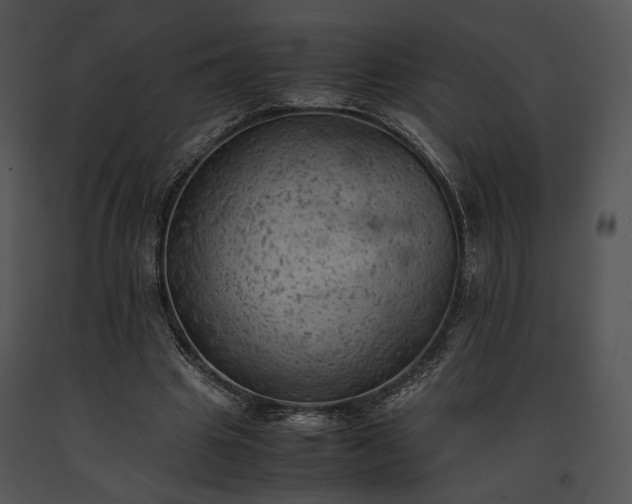X0000091650441200708301421