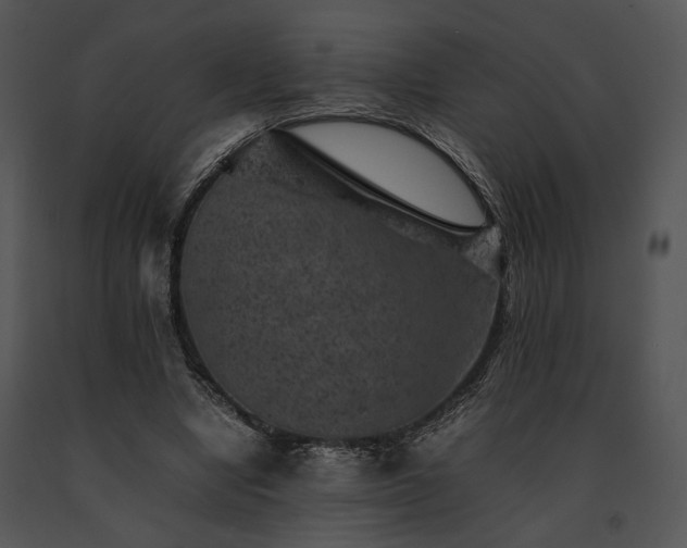 X0000091650442200708301421