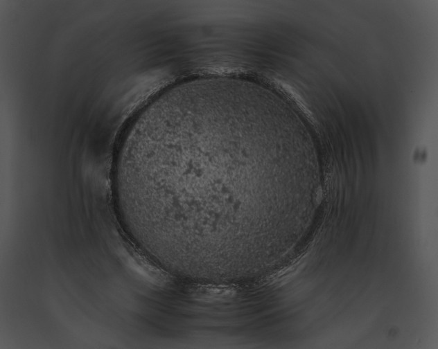 X0000091650443200708301421