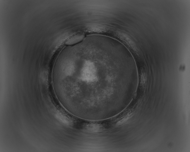 X0000091650444200708301422