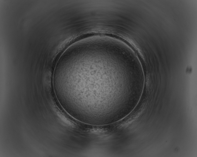 X0000091650445200708301422