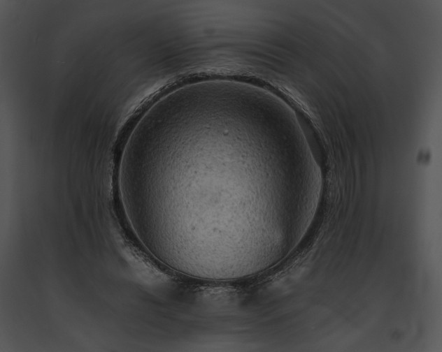 X0000091650446200708301422