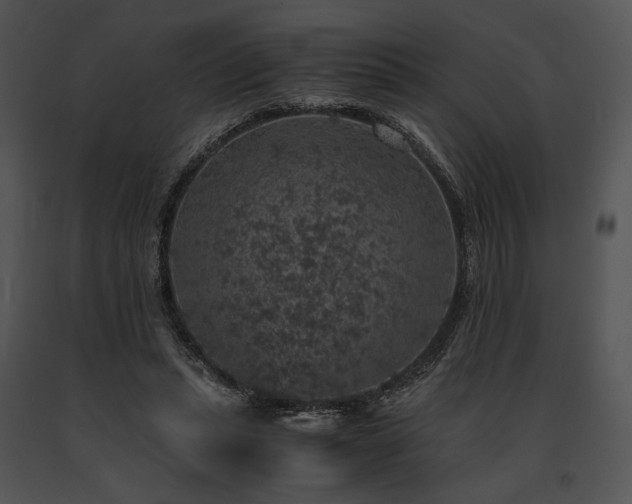 X0000091650447200708301422