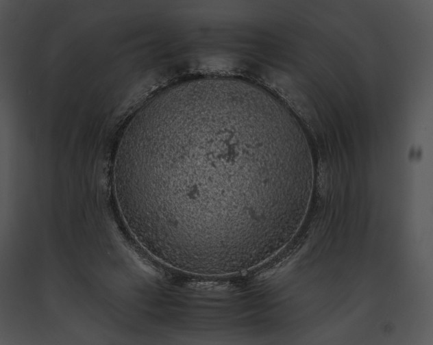 X0000091650449200708301422