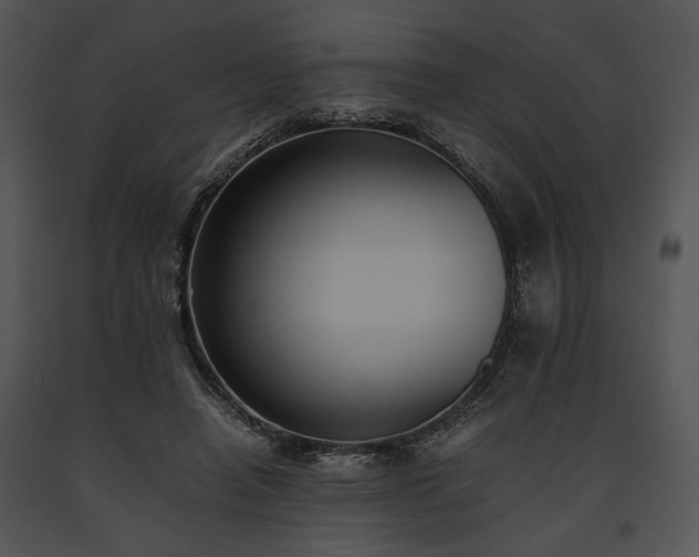 X0000091650450200708301422