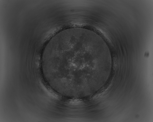 X0000091650451200708301422