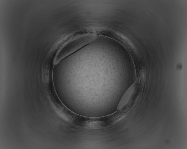 X0000091650452200708301422