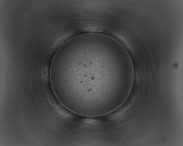 X0000091650453200708301422