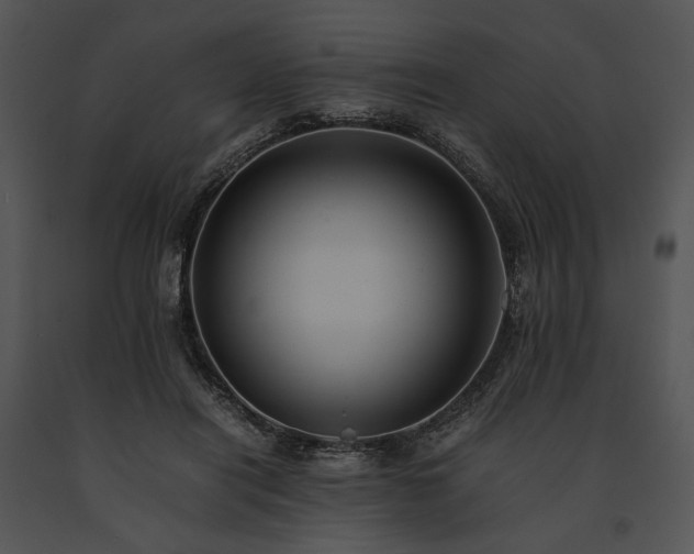 X0000091650454200708301422