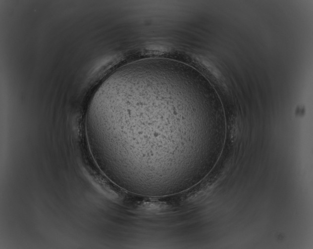 X0000091650455200708301422