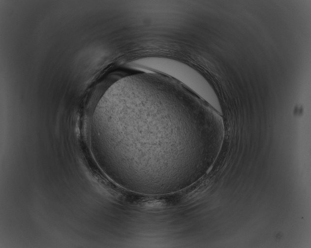 X0000091650456200708301422