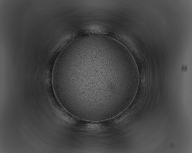 X0000091650457200708301422