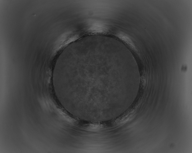 X0000091650458200708301422