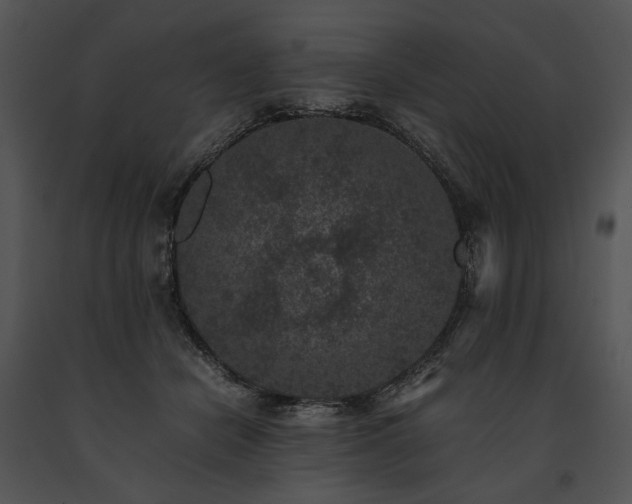 X0000091650462200708301422