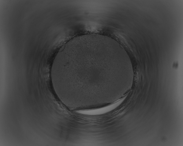 X0000091650466200708301422