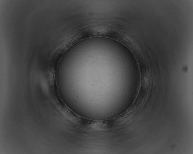 X0000091650468200708301422