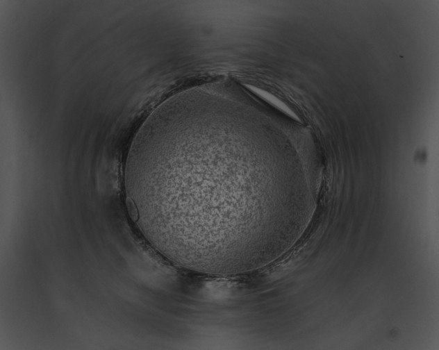 X0000091650470200708301422