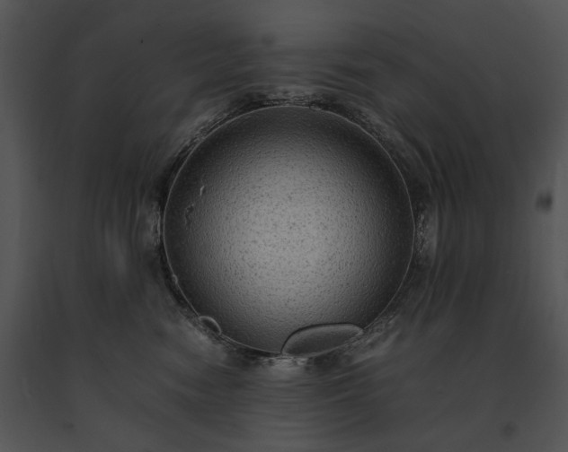 X0000091650474200708301422