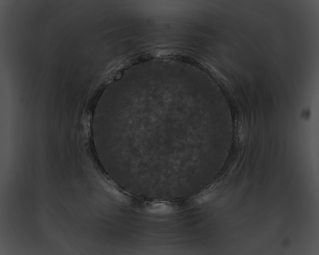 X0000091650475200708301422