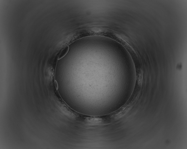 X0000091650476200708301422