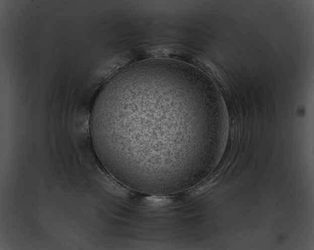 X0000091650477200708301422