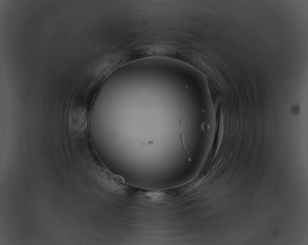 X0000091650478200708301422