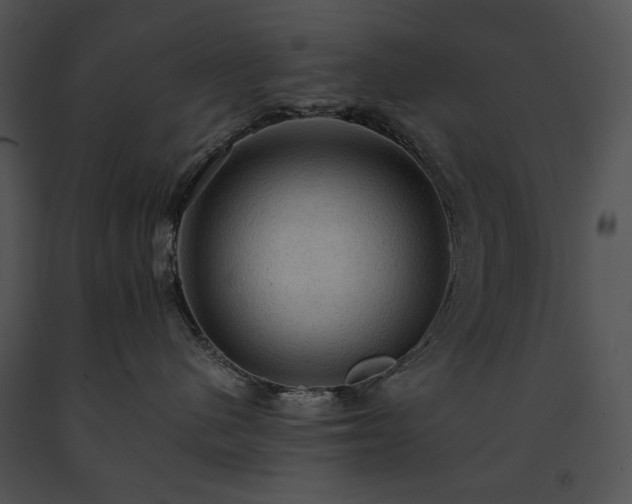 X0000091650480200708301422