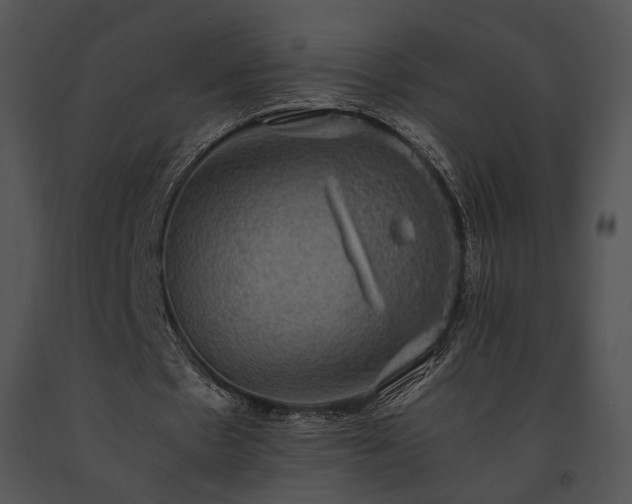X0000091650481200708301421