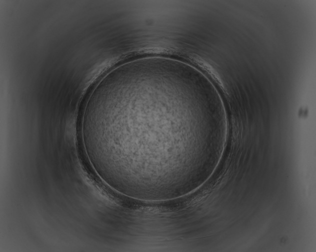 X0000091650482200708301421