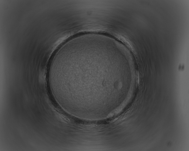 X0000091650483200708301421