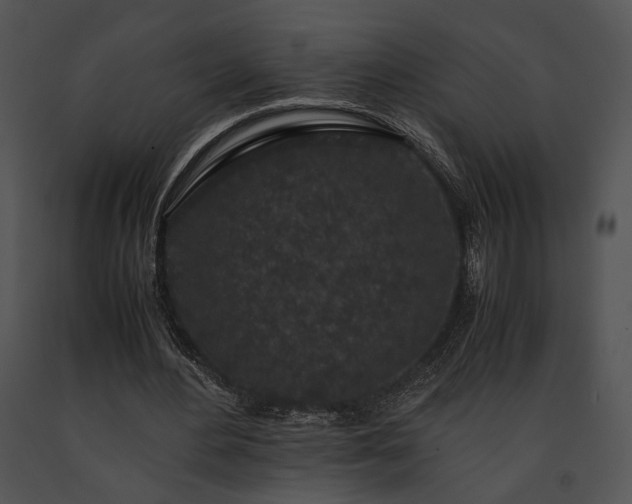 X0000091650484200708301421