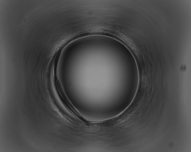 X0000091650485200708301421