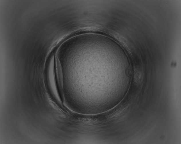 X0000091650486200708301421