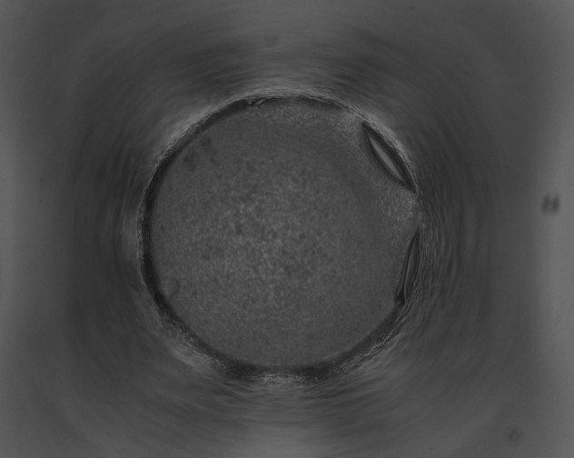 X0000091650487200708301421