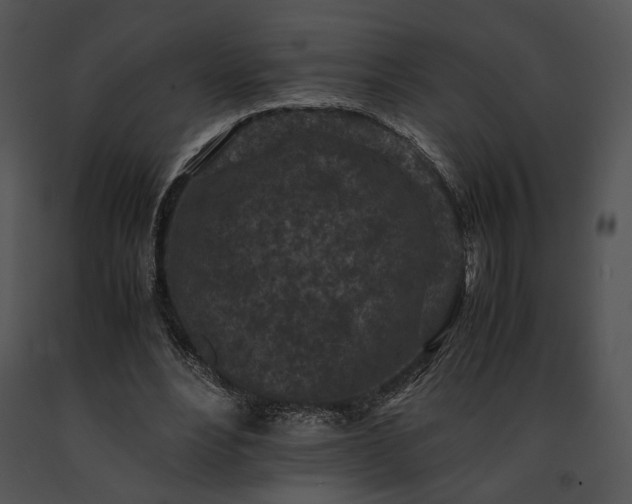 X0000091650488200708301421