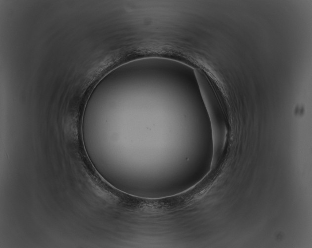 X0000091650489200708301421